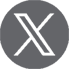 Gray circle with "X" logo in middle